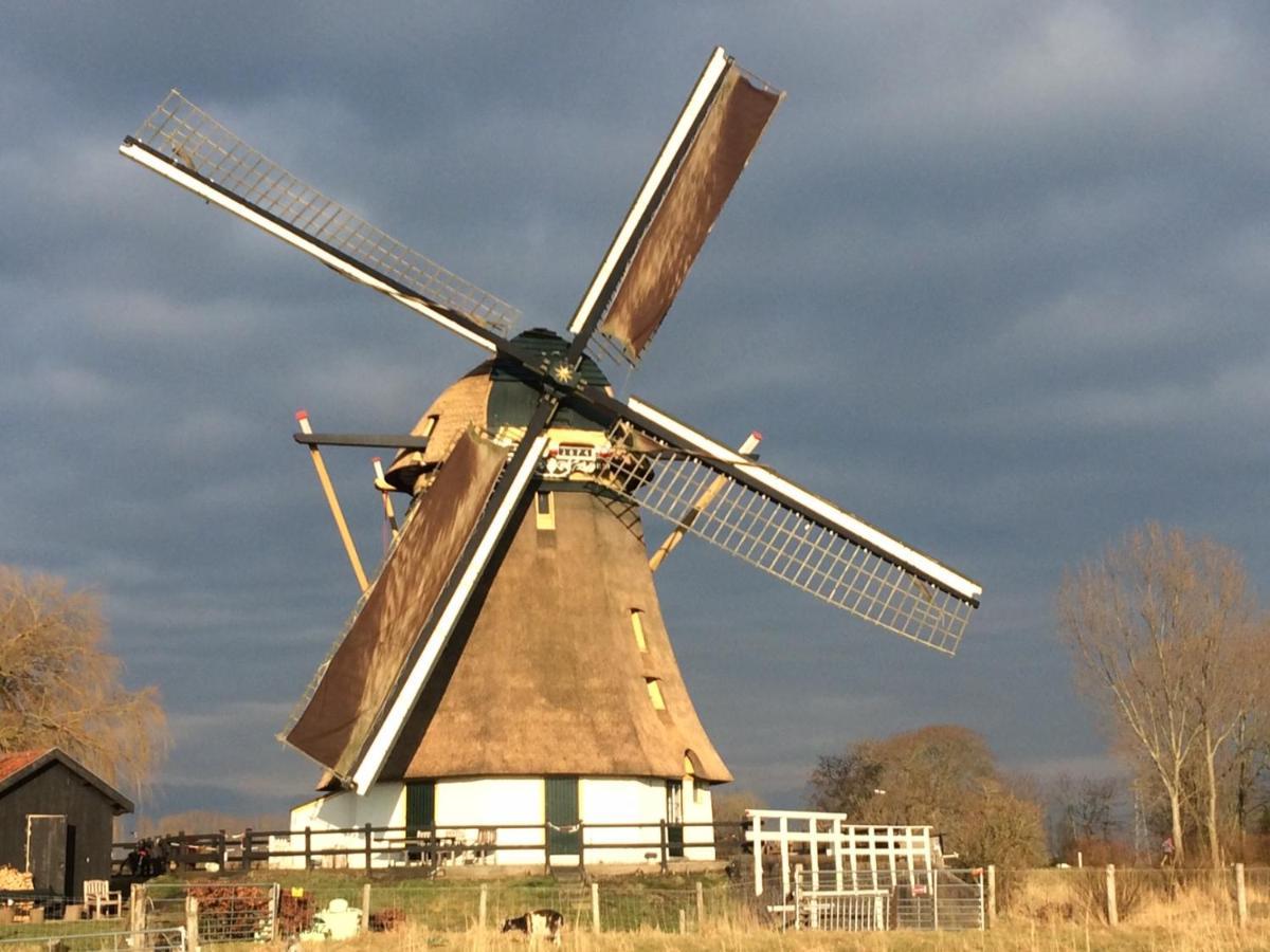 Mondriaanmolen, A Real Windmill Close To Amsterdam Абкауде Экстерьер фото