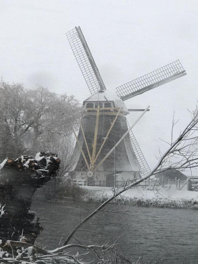 Mondriaanmolen, A Real Windmill Close To Amsterdam Абкауде Экстерьер фото
